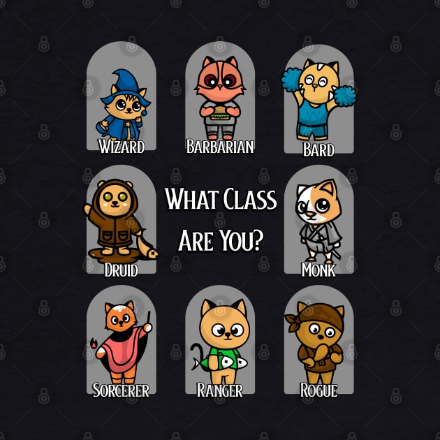 What's your class? by orders@qualeto.com